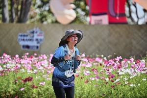 BIB: 
                            <button type="button" onclick="openModal(27792928)" class="btn btn-primary btn-sm float-right btn-popup" data-toggle="modal" data-target=".modal-high-quality">
                        <i class="fas fa-shopping-cart"></i> Add to Cart
                    </button>
                                            <button type="button" onclick="isThisMe(27792928, true)" class="btn btn-success btn-sm float-right btn-popup btn-isme hidden" data-toggle="tooltip" data-placement="bottom" title="นี่คือรูปของคุณใช่ไหม คลิกที่นี่เพื่อเอาเข้าอัลบั้ม">
                        <i class="fas fa-plus"></i> Add to album
                    </button>
                    <button type="button" onclick="isThisMe(27792928, false)" class="btn btn-warning btn-sm float-right btn-popup btn-isnotme hidden">
                        <i class="fas fa-ban"></i> Remove from album
                    </button>